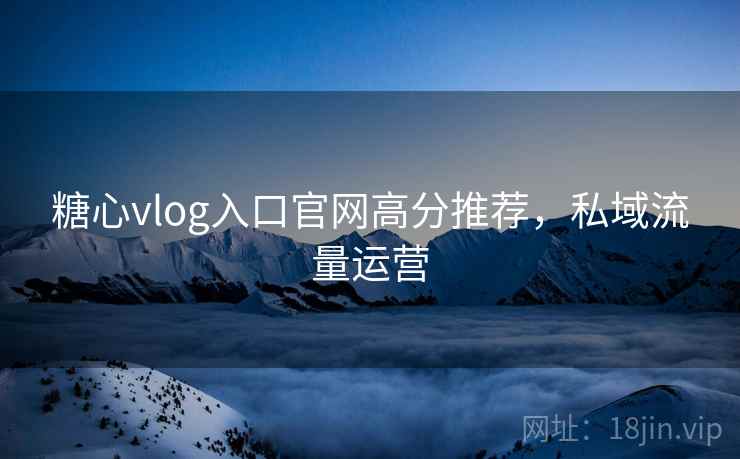 糖心vlog入口官网高分推荐，私域流量运营
